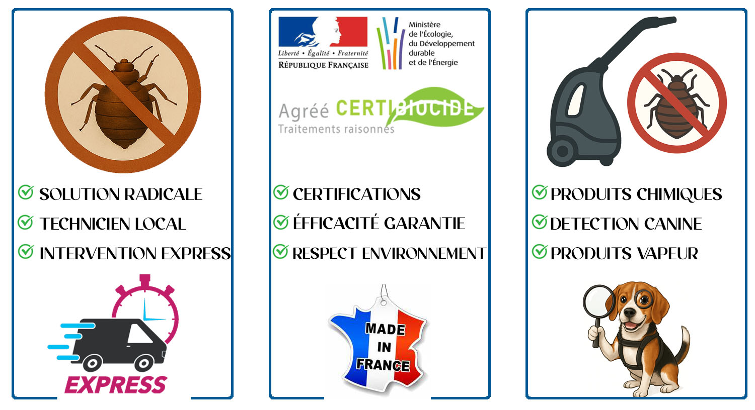 Punaises de Lit Champigny sur Marne