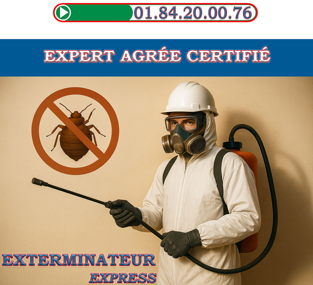 Punaises de Lit Champigny sur Marne